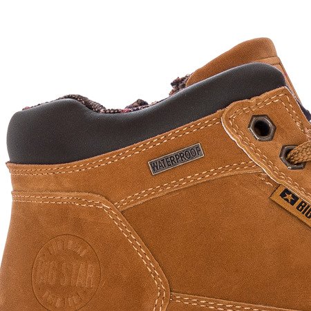 Big Star EE274168 Camel Trainers