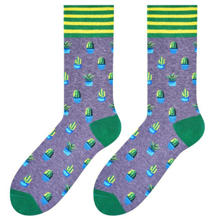 MORE Grey / Cactus socks