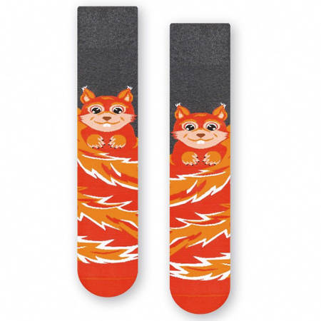 MORE Orange / Squirrel socks