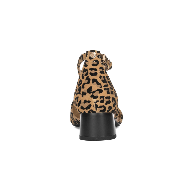 Maciejka Leather Leopard Print Pumps With Low Block Heel Beige-Black K6807-43/00-1