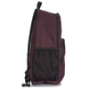 Vans Alumni Pack 5-B Burgundy Backpack