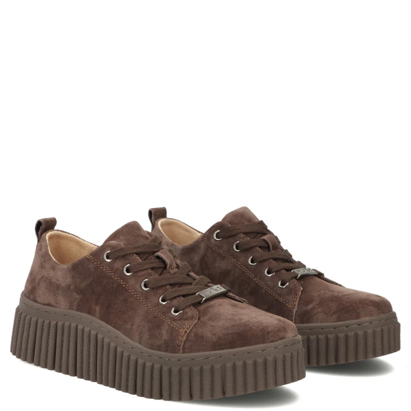 Filippo Women's Brown Suede Platform Sneakers DP8337/26 DBR