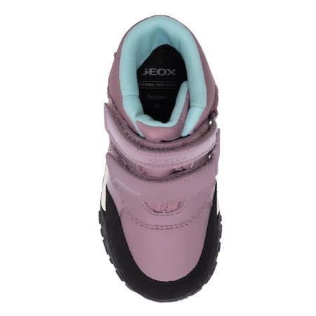 Geox Botki Dziewczęce Dark Purple