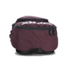 Vans Alumni Pack 5-B Burgundy Backpack