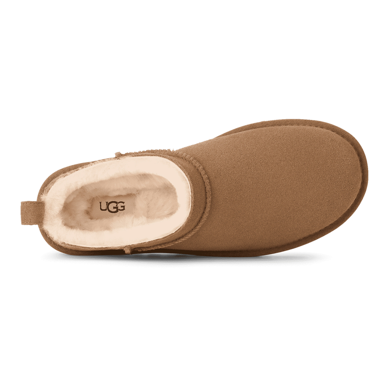 W Classic Micro Chestnut UGG 1173891-CHE
