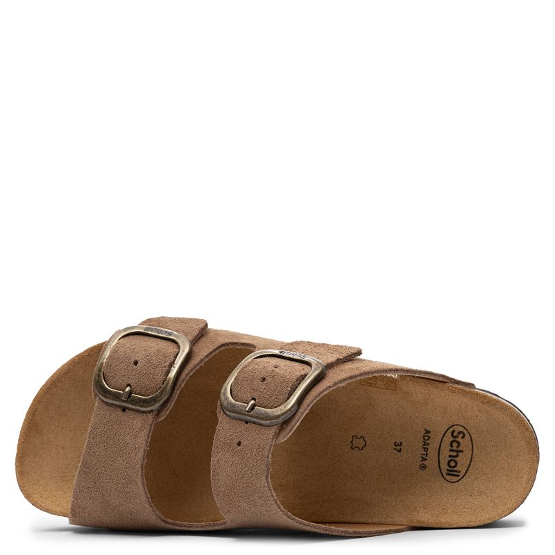 Scholl Anatomical Women’s Slides Double Buckle Brown F00734-1062